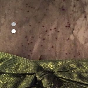 ValentinoGaravaniMetallicGreen AyerssnakeBowClutch